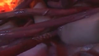Көптеген сегізаяқ шатырлары тойымсыз араб әйелінің кішкентай кискасын трахает