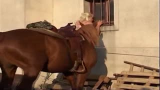 Филми пурраи порнографии зоопарк. Филми ҷинсӣ дар боғи ҳайвонотро ройгон тамошо кунед