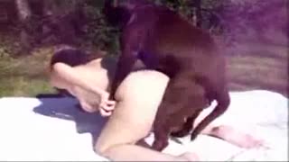 Аялдын котунда узун ит короз бар