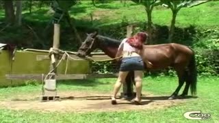 Аял атка анал блять берди